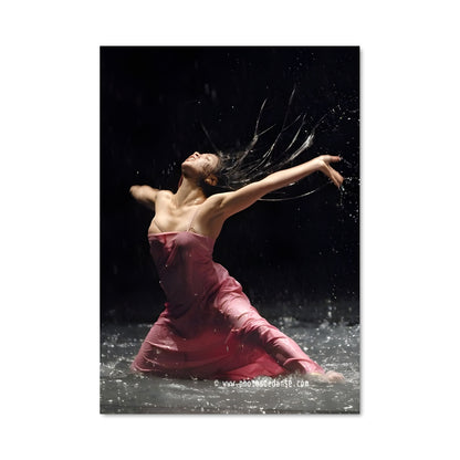 Poster Pina bausch 65849