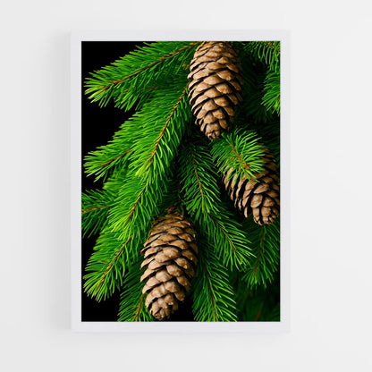 ap-pine-8 cadre Blanc