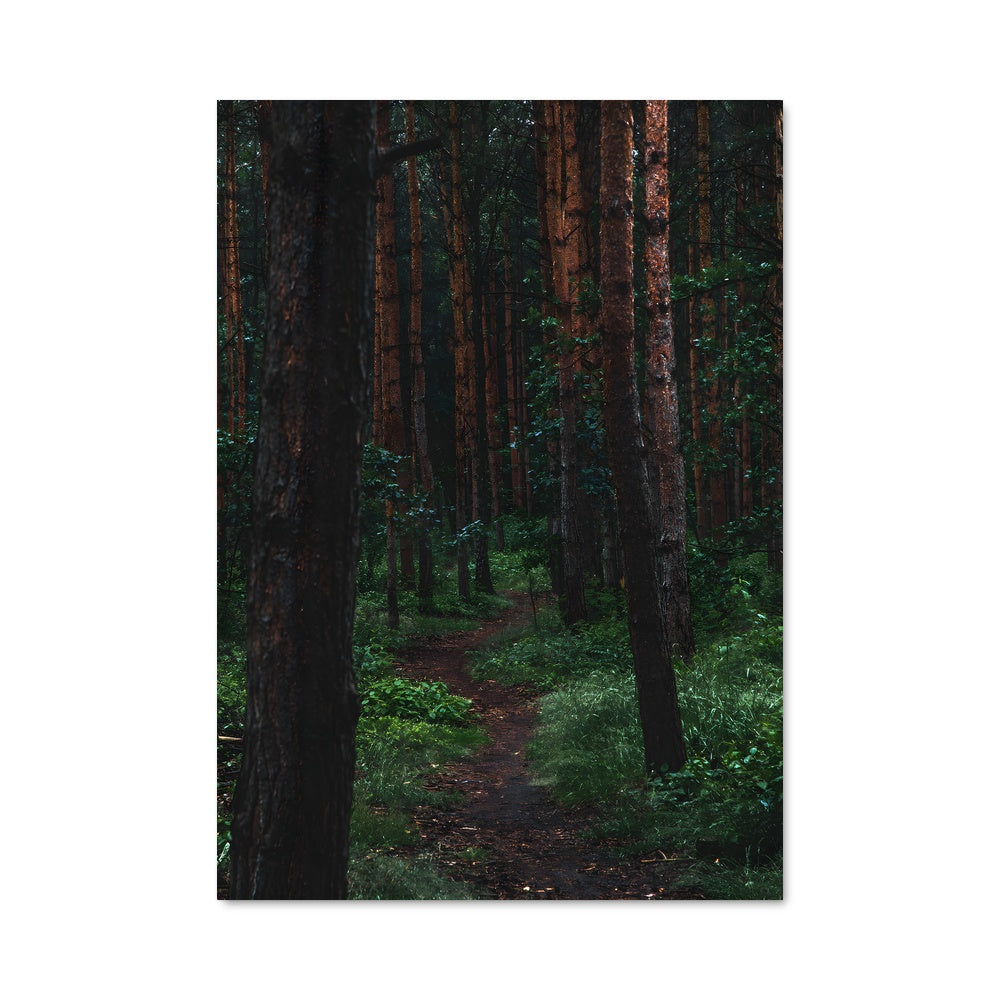 Poster Sentier Secret