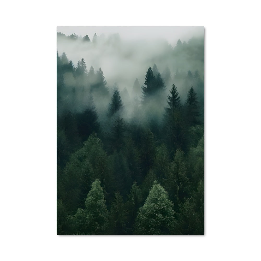 Poster Brume Émeraude