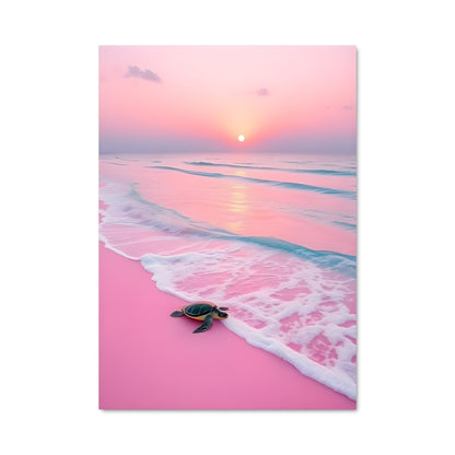 Poster L'Évasion de la Tortue