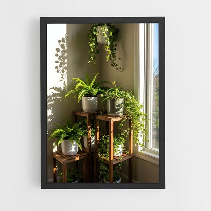 ap-plant-19 cadre Noir