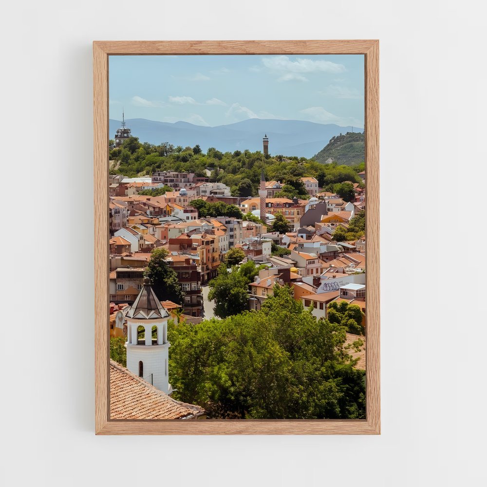 ap-plovdiv-2 cadre Bois clair
