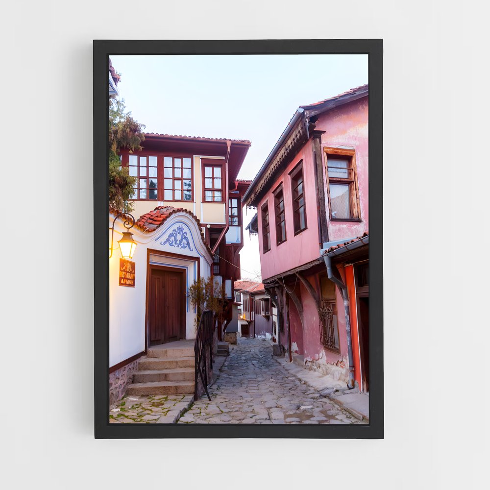 ap-plovdiv-7 cadre Noir