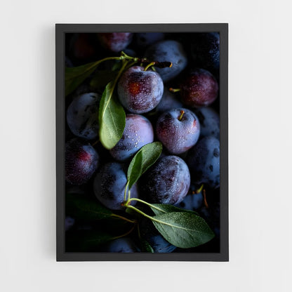 ap-plum-11 cadre Noir