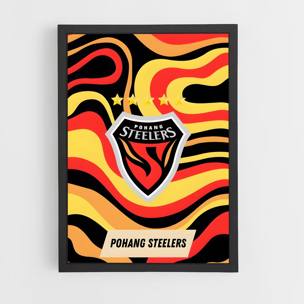 ap-pohang steelers-1 cadre Noir