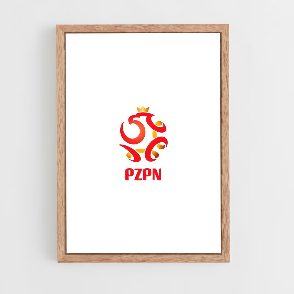 ap-poland national football team-4 cadre Bois clair