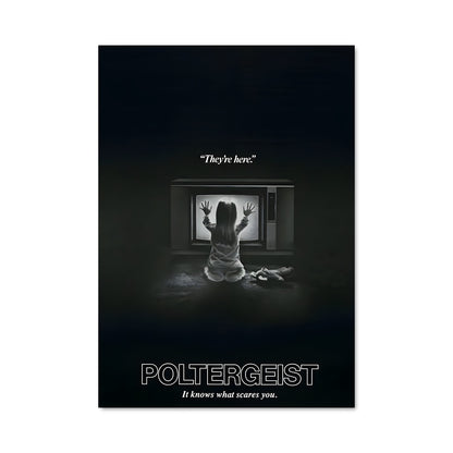 Poster Au-delà des Ombres
