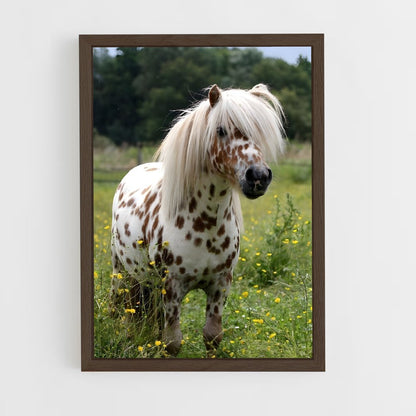 ap-pony-3 cadre Bois foncé