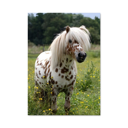 Poster Cheval Enchanté