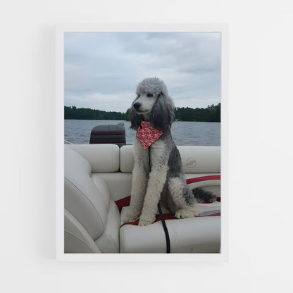 ap-poodle-3 cadre Blanc