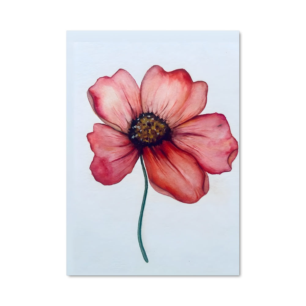 Poster Fleur de Coquelicot