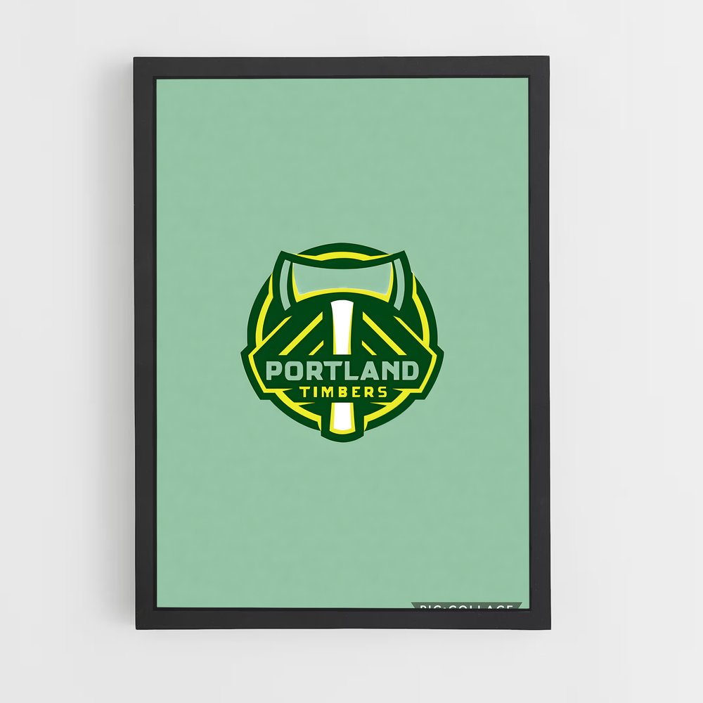 ap-portland timbers-3 cadre Noir