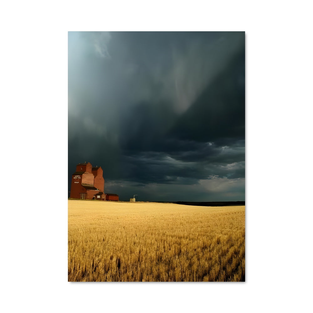 Poster Prairie Dorée