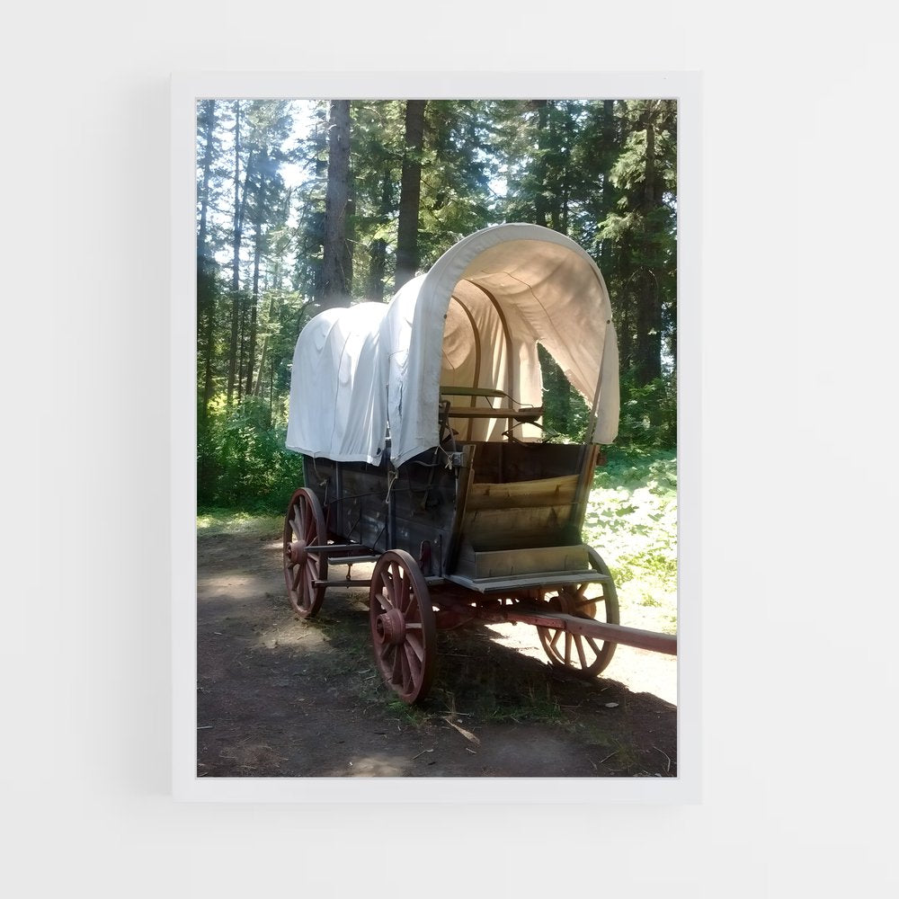 ap-prairie schooner-1 cadre Blanc