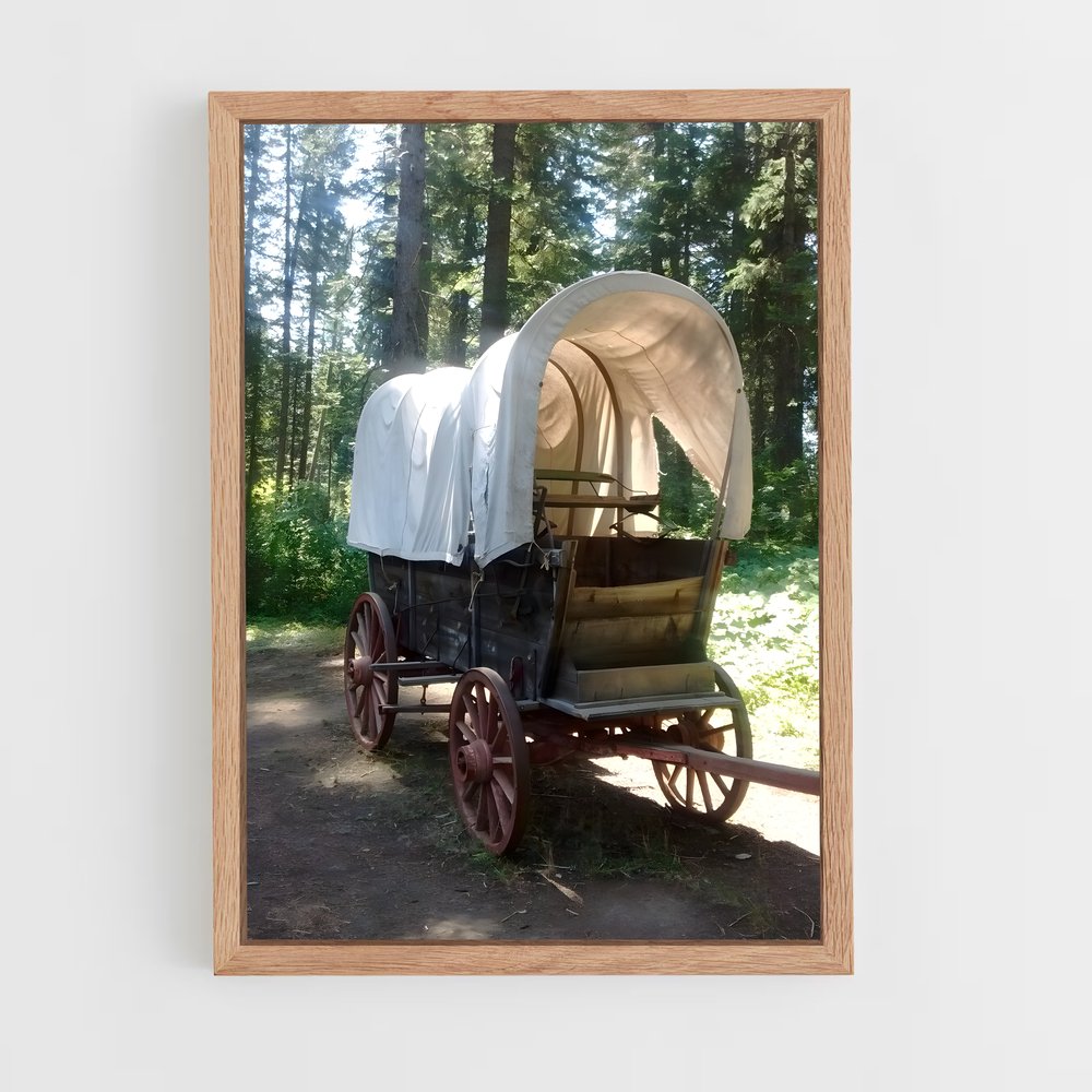 ap-prairie schooner-1 cadre Bois clair