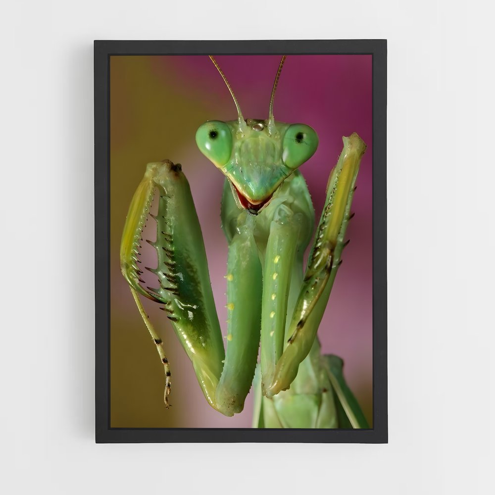 ap-praying mantis-2 cadre Noir