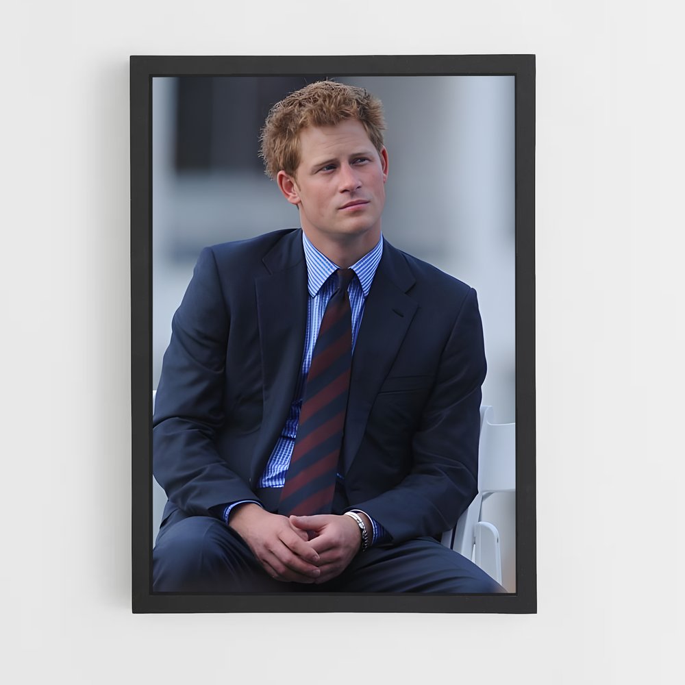ap-prince harry-5 cadre Noir