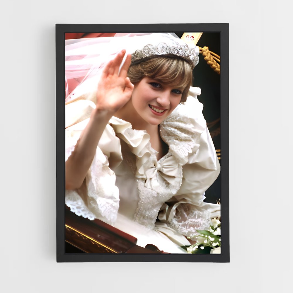 ap-princess diana-10 cadre Noir