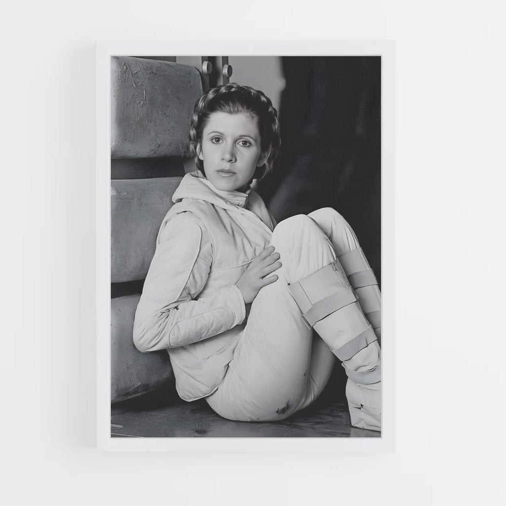 ap-princess leia-4 cadre Blanc