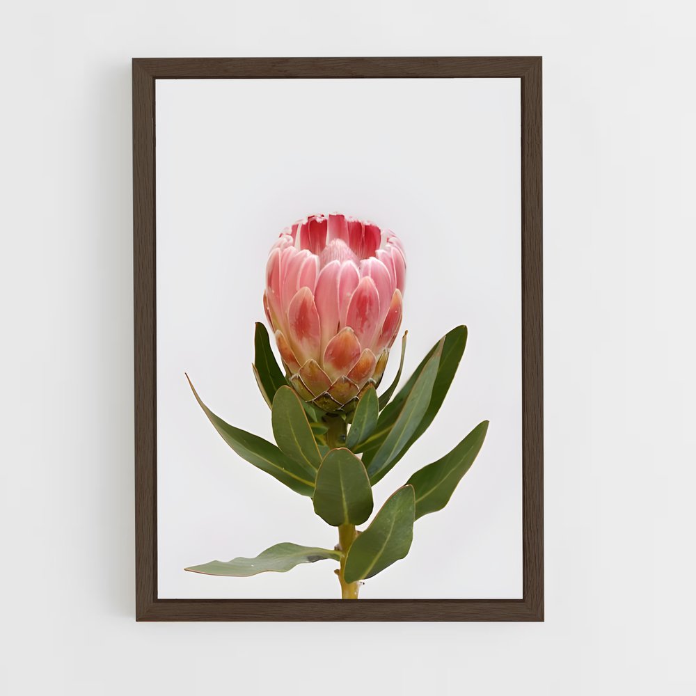 ap-protea-8 cadre Bois foncé