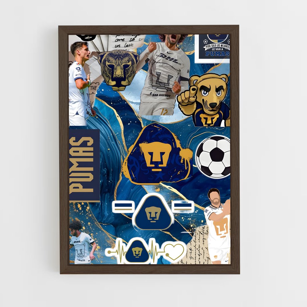 ap-pumas unam-7 cadre Bois foncé