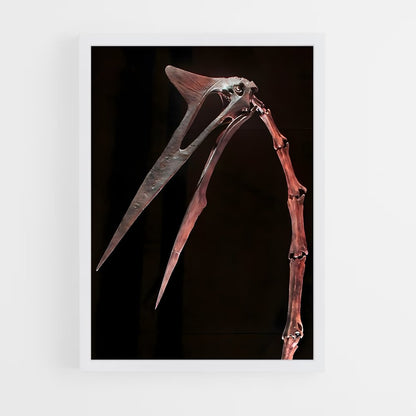 ap-quetzalcoatlus-5 cadre Blanc