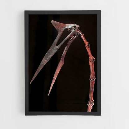 ap-quetzalcoatlus-5 cadre Noir