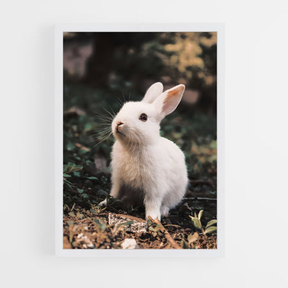 ap-rabbit-8 cadre Blanc