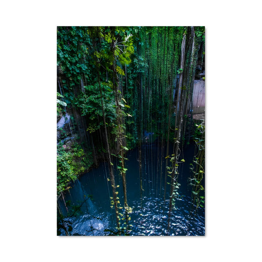 Poster Reflet de Bambou