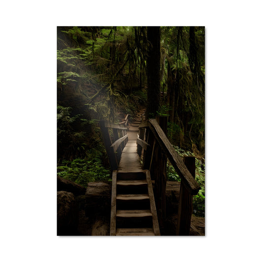 Poster Escalier vers la Cascade