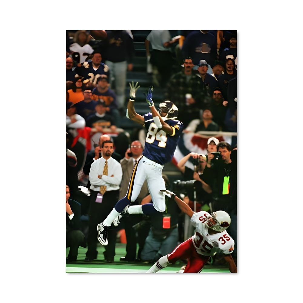 Poster Moss Catch