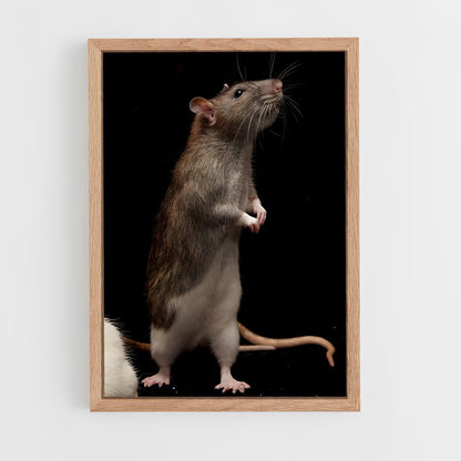 ap-rat-1 cadre Bois clair