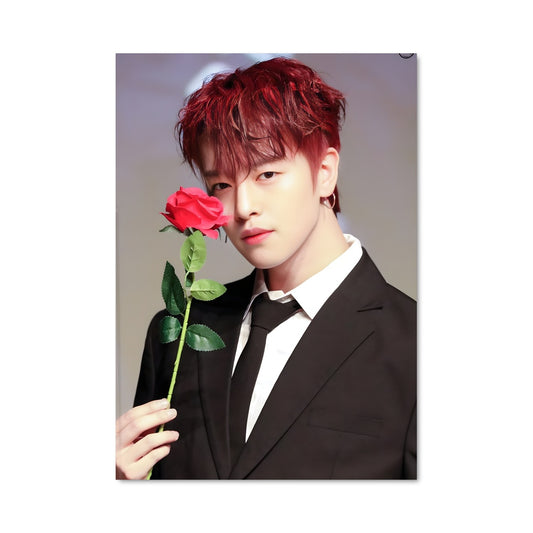 Poster Le Gentleman et la Rose