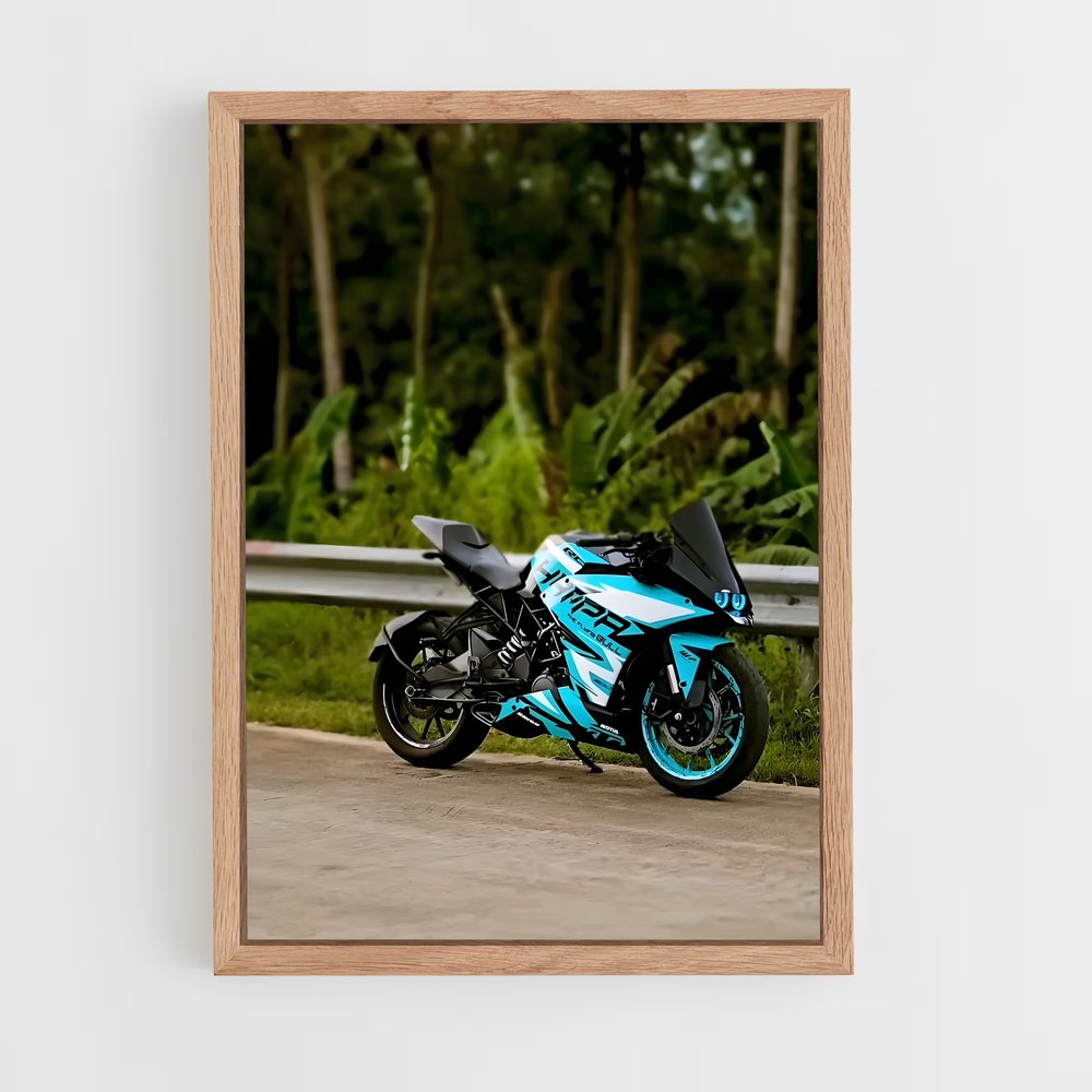 ap-rc 390-6 cadre Bois clair