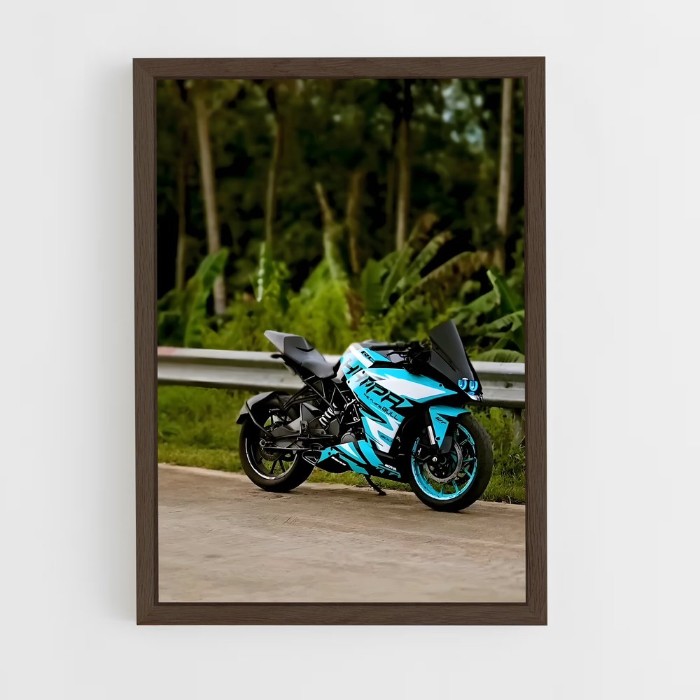 ap-rc 390-6 cadre Bois foncé