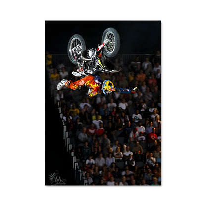Poster Red bull x-fighters 63695
