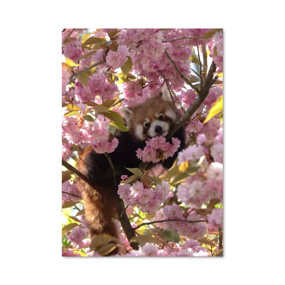 Poster Panda Enchanté