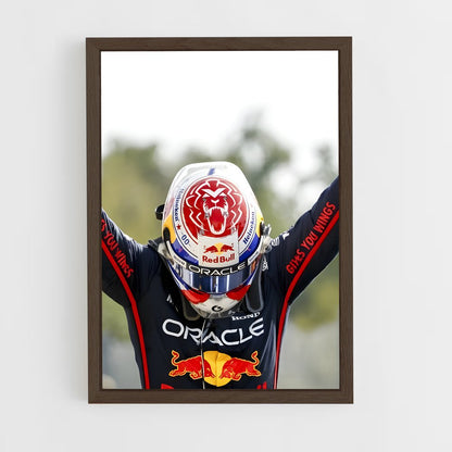 ap-red bull racing-6 cadre Bois foncé