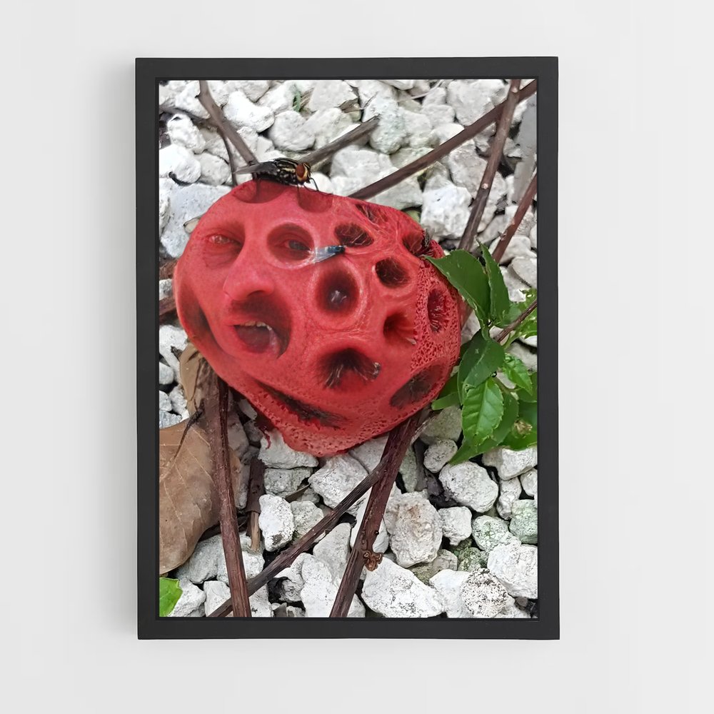 ap-red cage fungus-3 cadre Noir