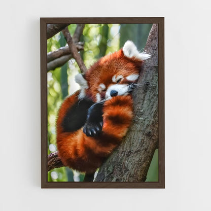 ap-red panda-3 cadre Bois foncé