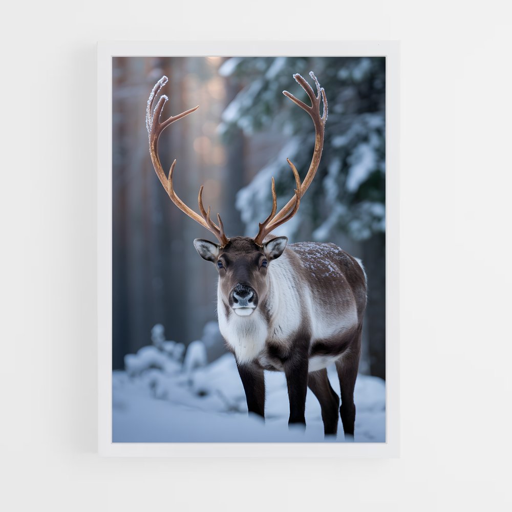 ap-reindeer-13 cadre Blanc