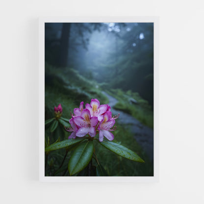 ap-rhododendron-1 cadre Blanc