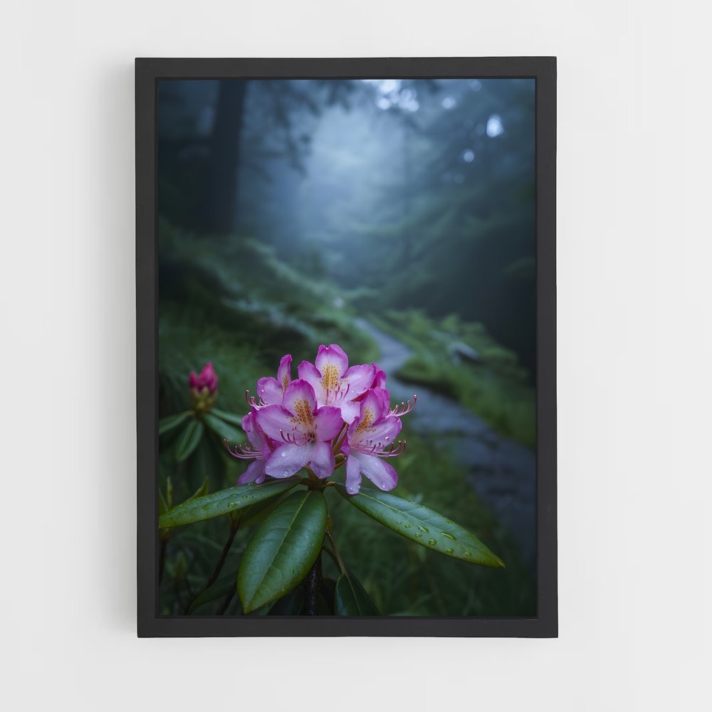ap-rhododendron-1 cadre Noir