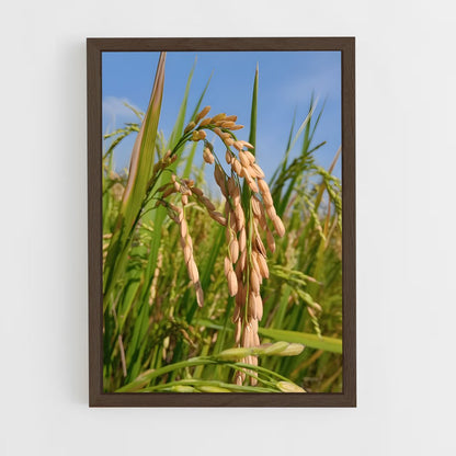 ap-rice-2 cadre Bois foncé