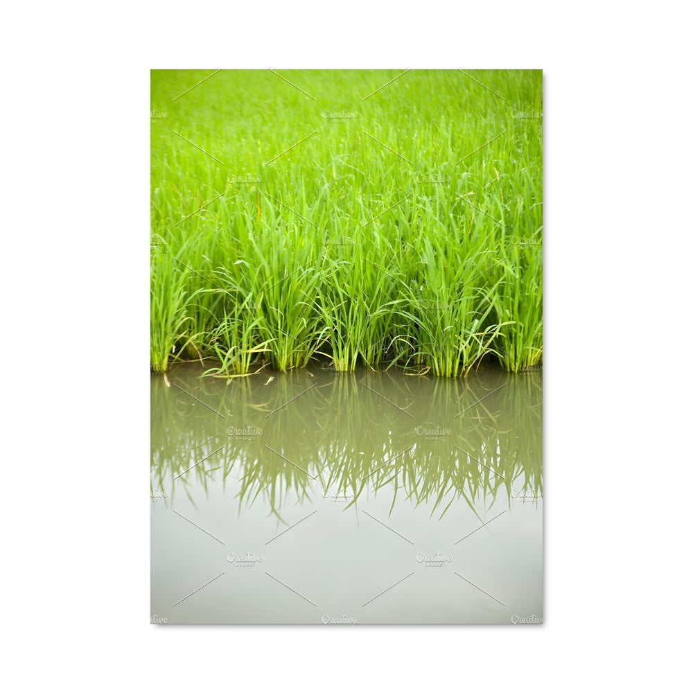 Poster Éclats de Verdure