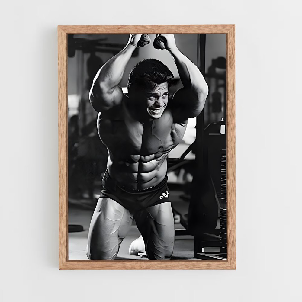 ap-rich gaspari-1 cadre Bois clair