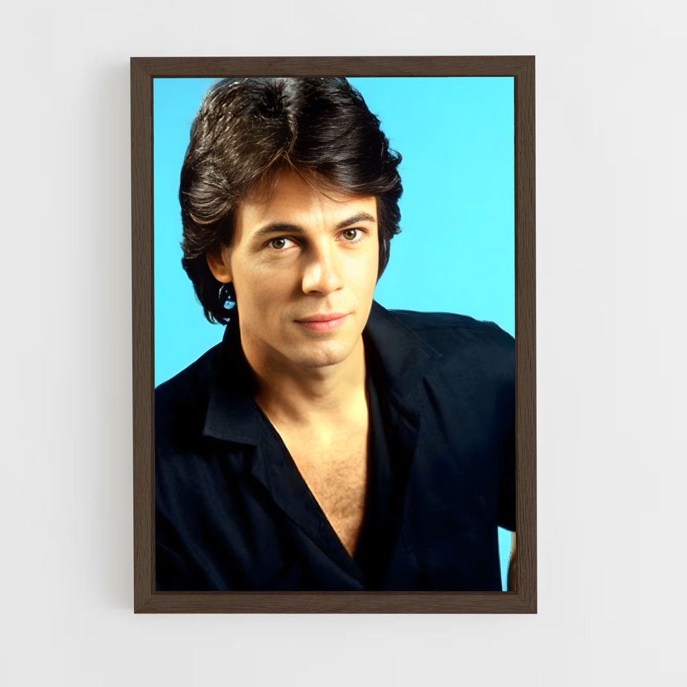 ap-rick springfield-6 cadre Bois foncé