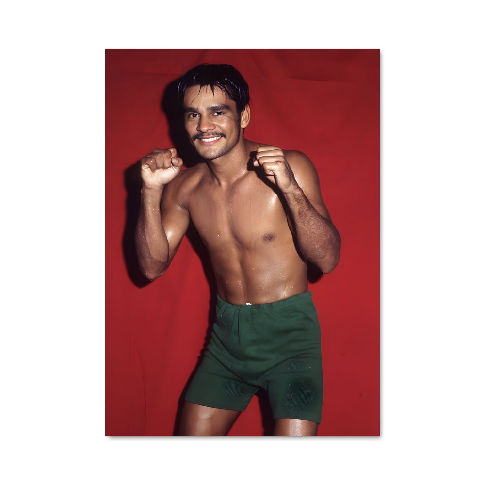 Poster Duran's Fury