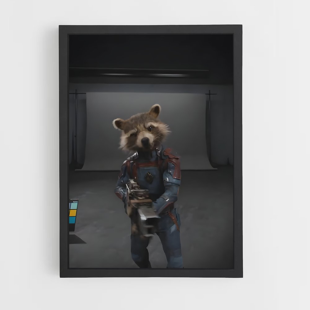 ap-rocket raccoon-6 cadre Noir